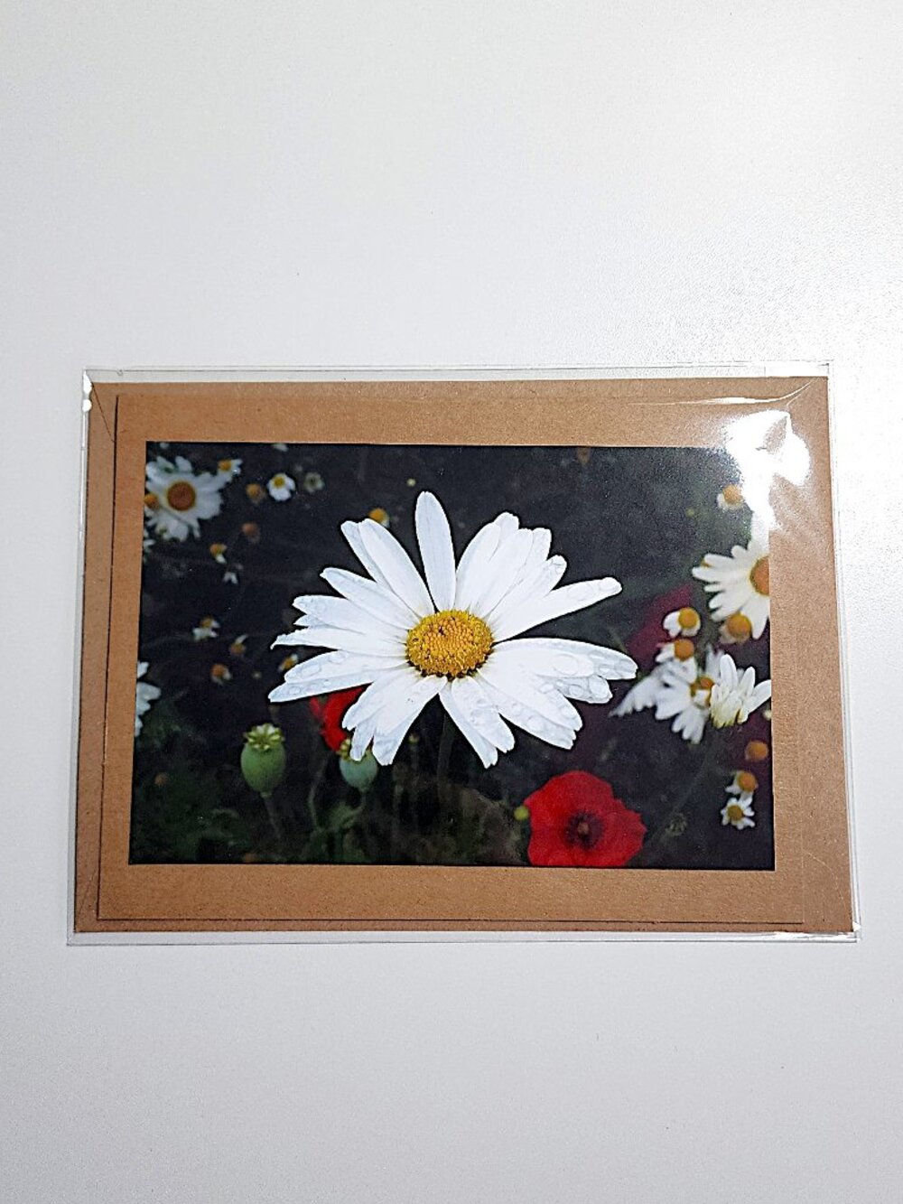 Floral photo greeting cards - Picture 4 of 7